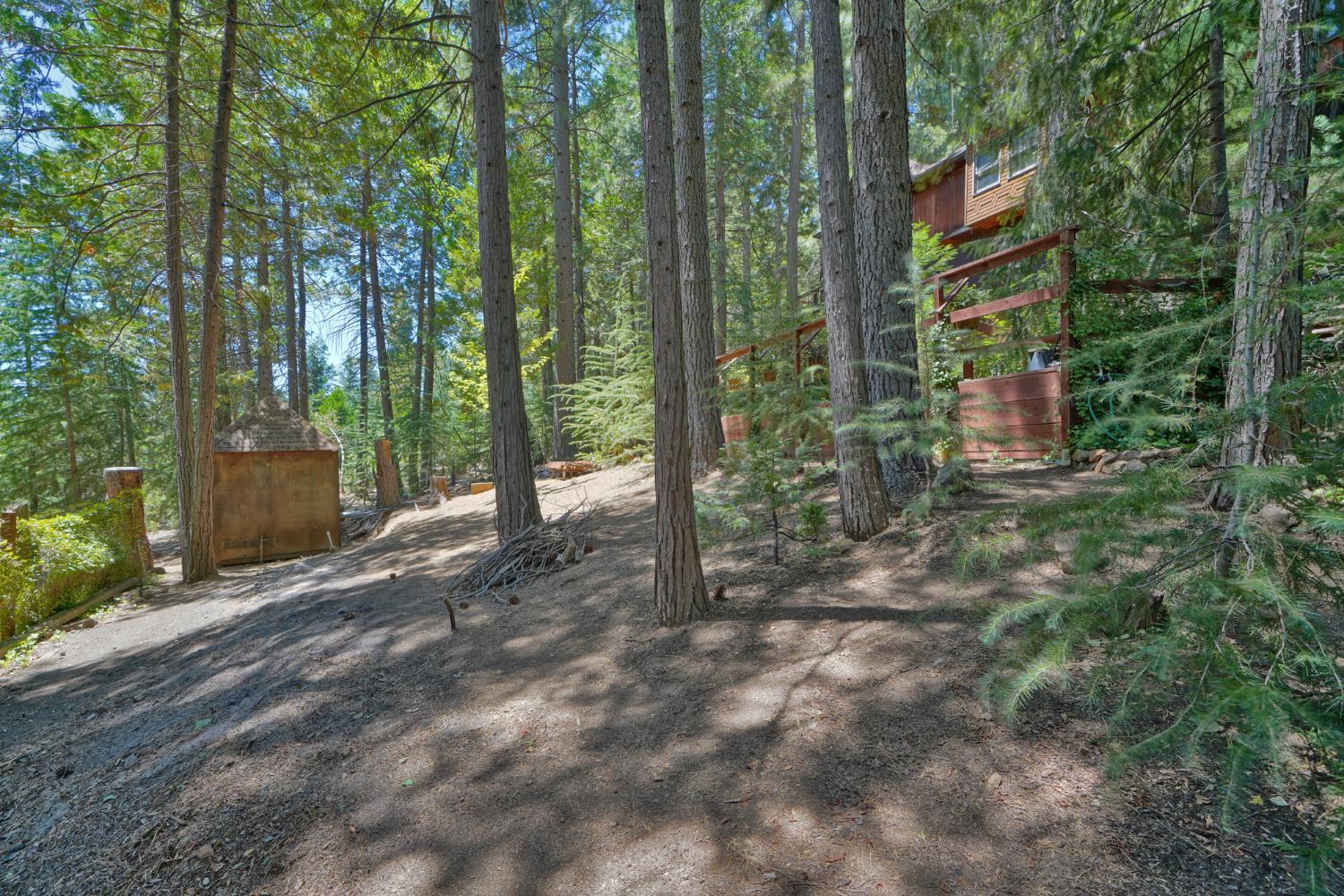 Detail Gallery Image 57 of 93 For 7501 Spring Valley Rd, Pollock Pines,  CA 95726 - 2 Beds | 1 Baths