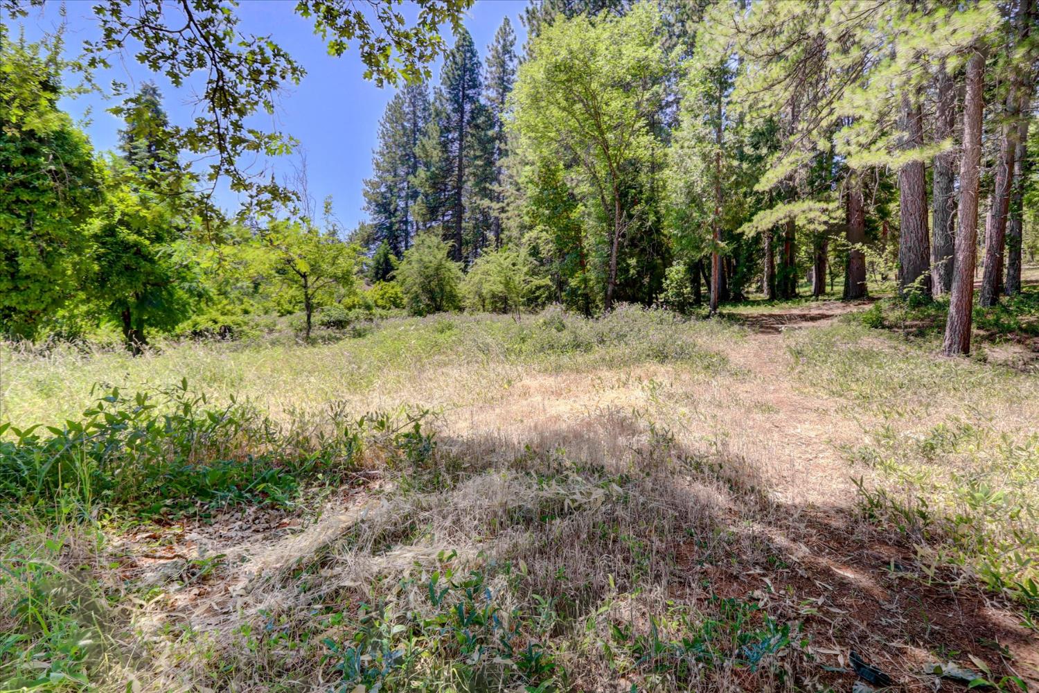 Detail Gallery Image 6 of 44 For 262 W Olympia Dr, Grass Valley,  CA 95945 - – Beds | – Baths