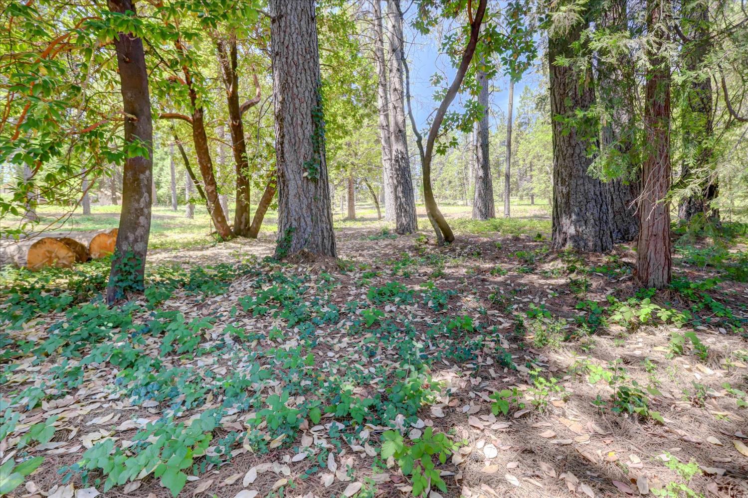 Detail Gallery Image 17 of 44 For 262 W Olympia Dr, Grass Valley,  CA 95945 - – Beds | – Baths