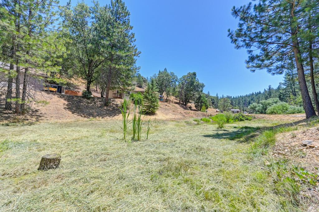 Detail Gallery Image 11 of 72 For 21740 Sweet Earth, Colfax,  CA 95713 - 3 Beds | 2 Baths