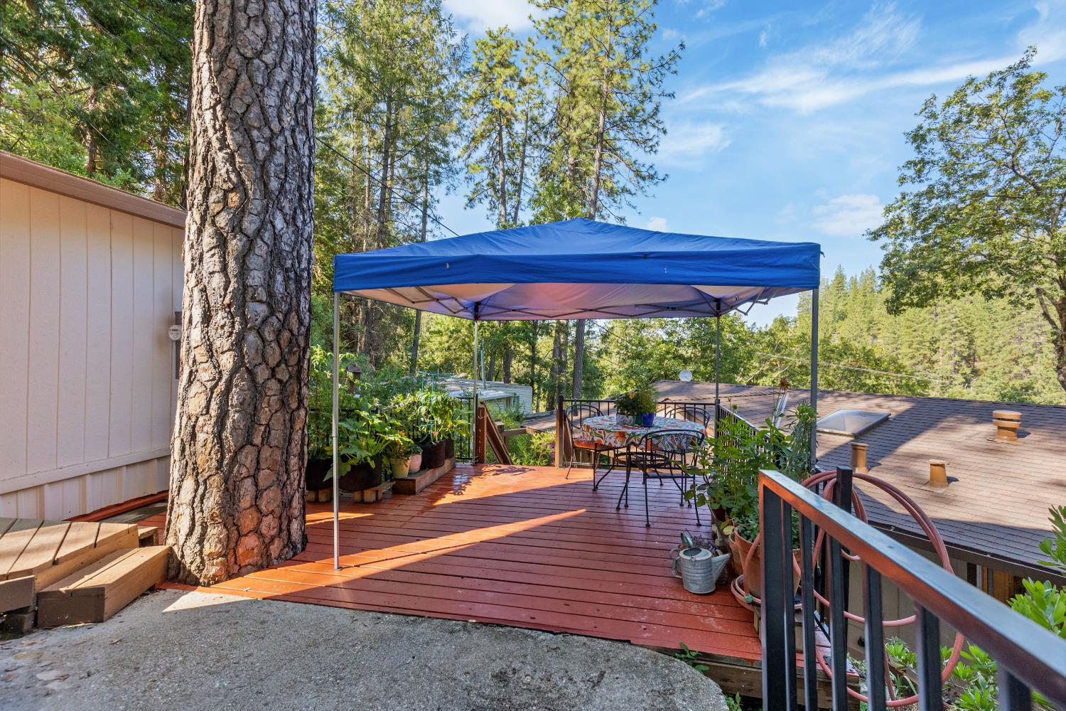 Detail Gallery Image 9 of 71 For 18507 Dunvegan Dr, Applegate,  CA 95703 - 2 Beds | 2 Baths