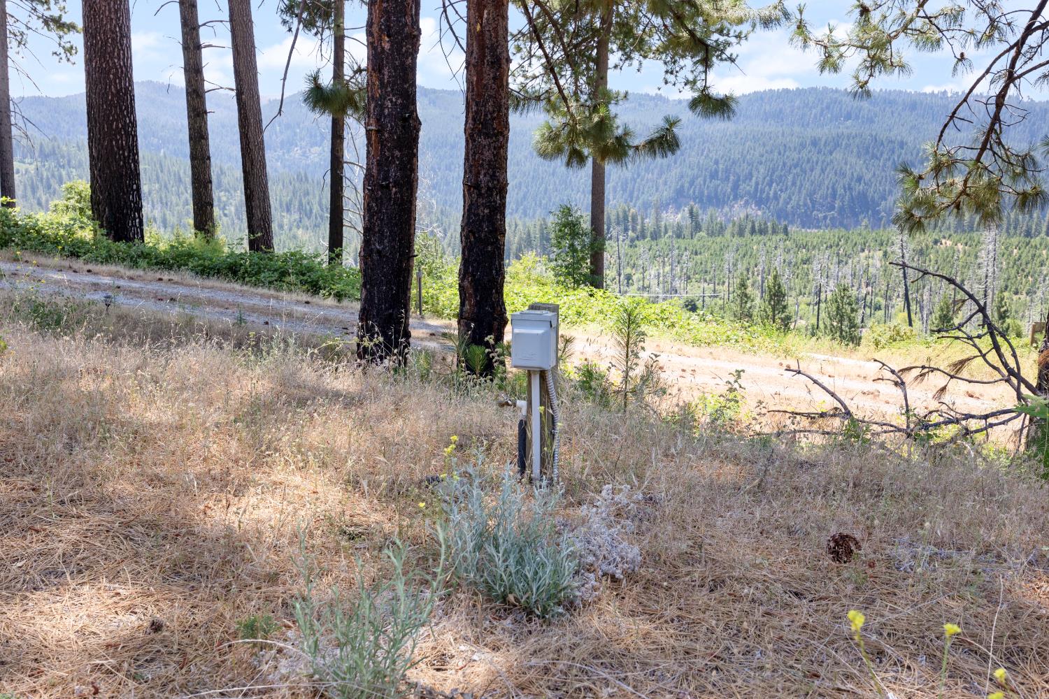 Detail Gallery Image 25 of 37 For 8009 Spring Valley Rd, Pollock Pines,  CA 95726 - 3 Beds | 2 Baths