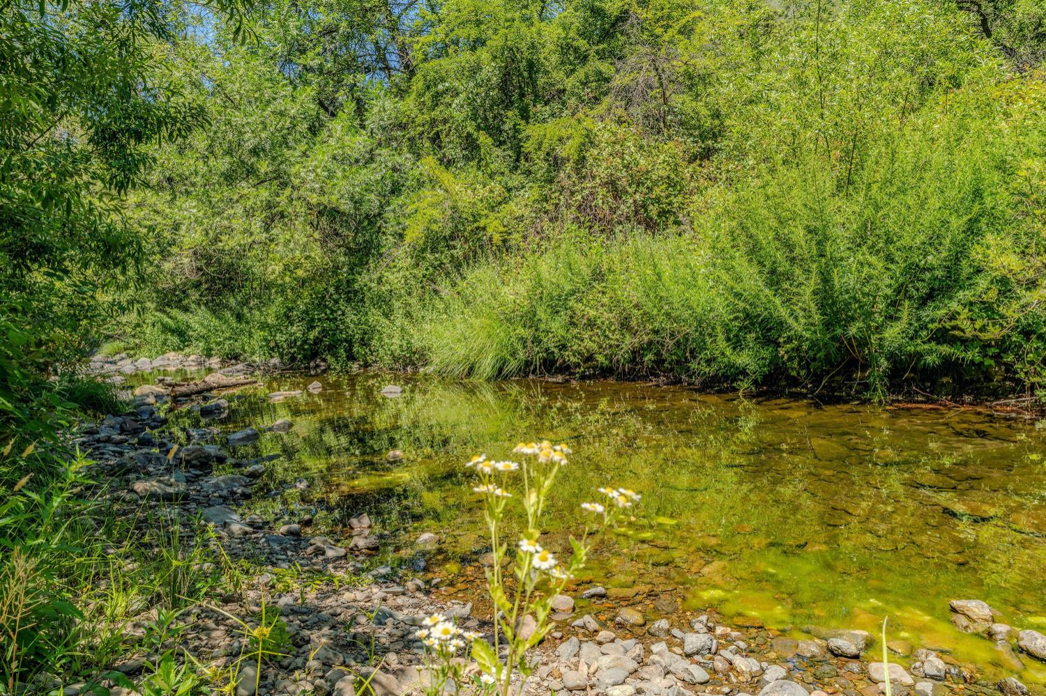 Detail Gallery Image 61 of 80 For 16000 Sutter Creek Rd, Sutter Creek,  CA 95685 - 3 Beds | 2 Baths