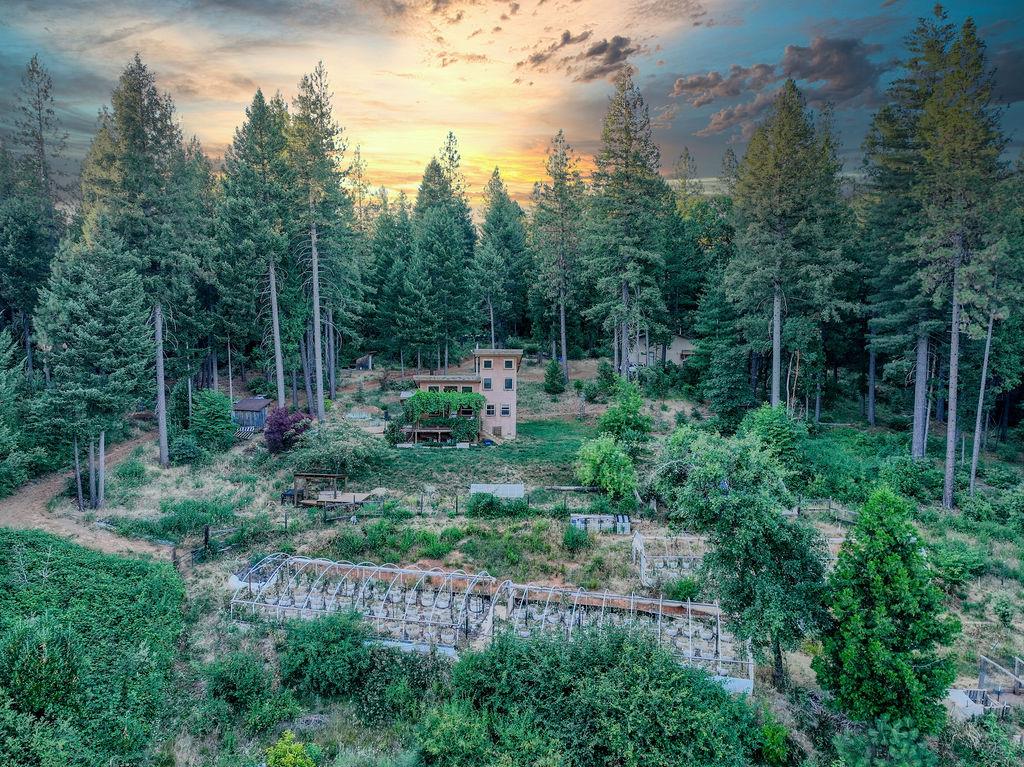 Detail Gallery Image 48 of 76 For 14843 Youngs Hill Rd, Camptonville,  CA 95922 - 2 Beds | 1 Baths