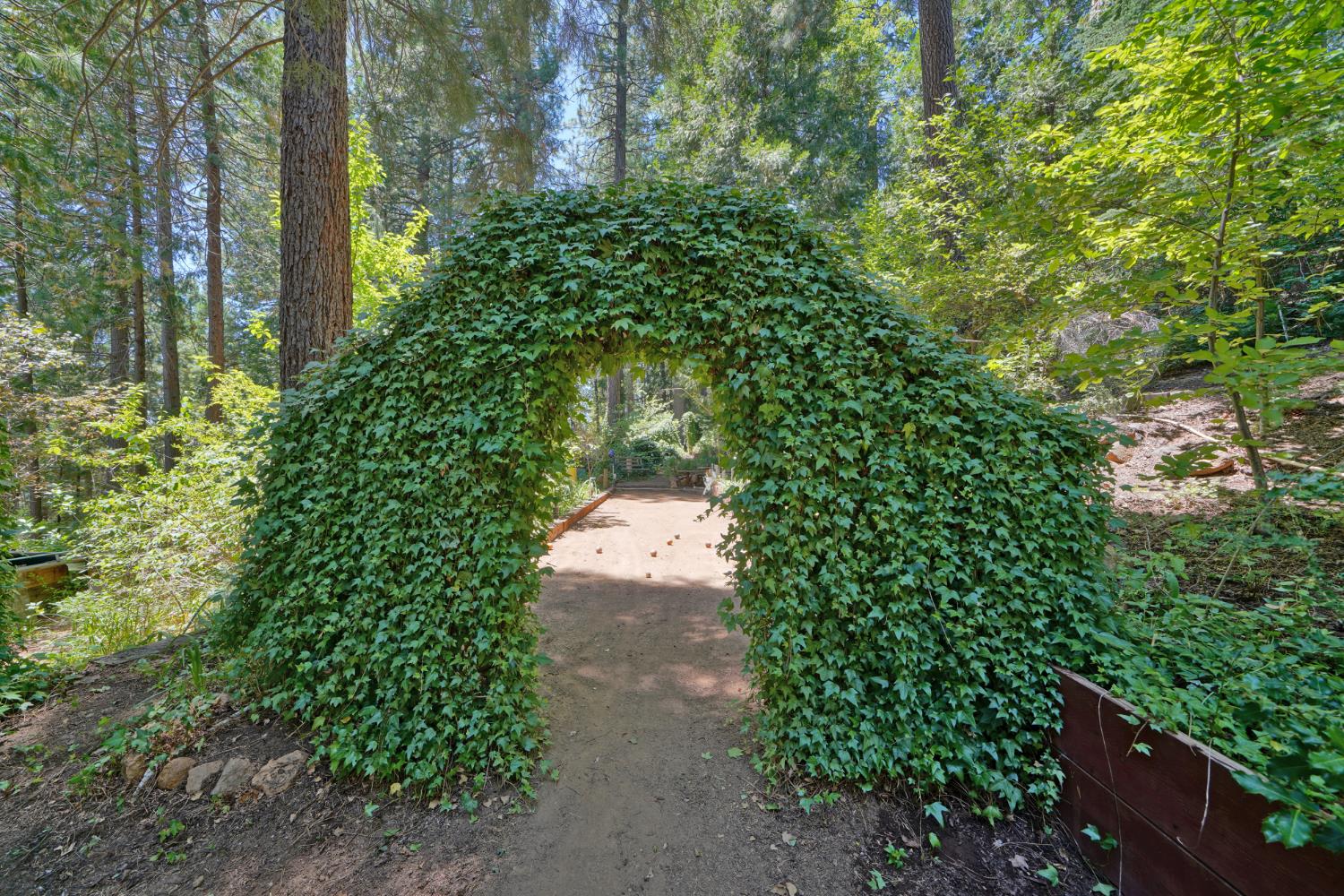 Detail Gallery Image 63 of 93 For 7501 Spring Valley Rd, Pollock Pines,  CA 95726 - 2 Beds | 1 Baths
