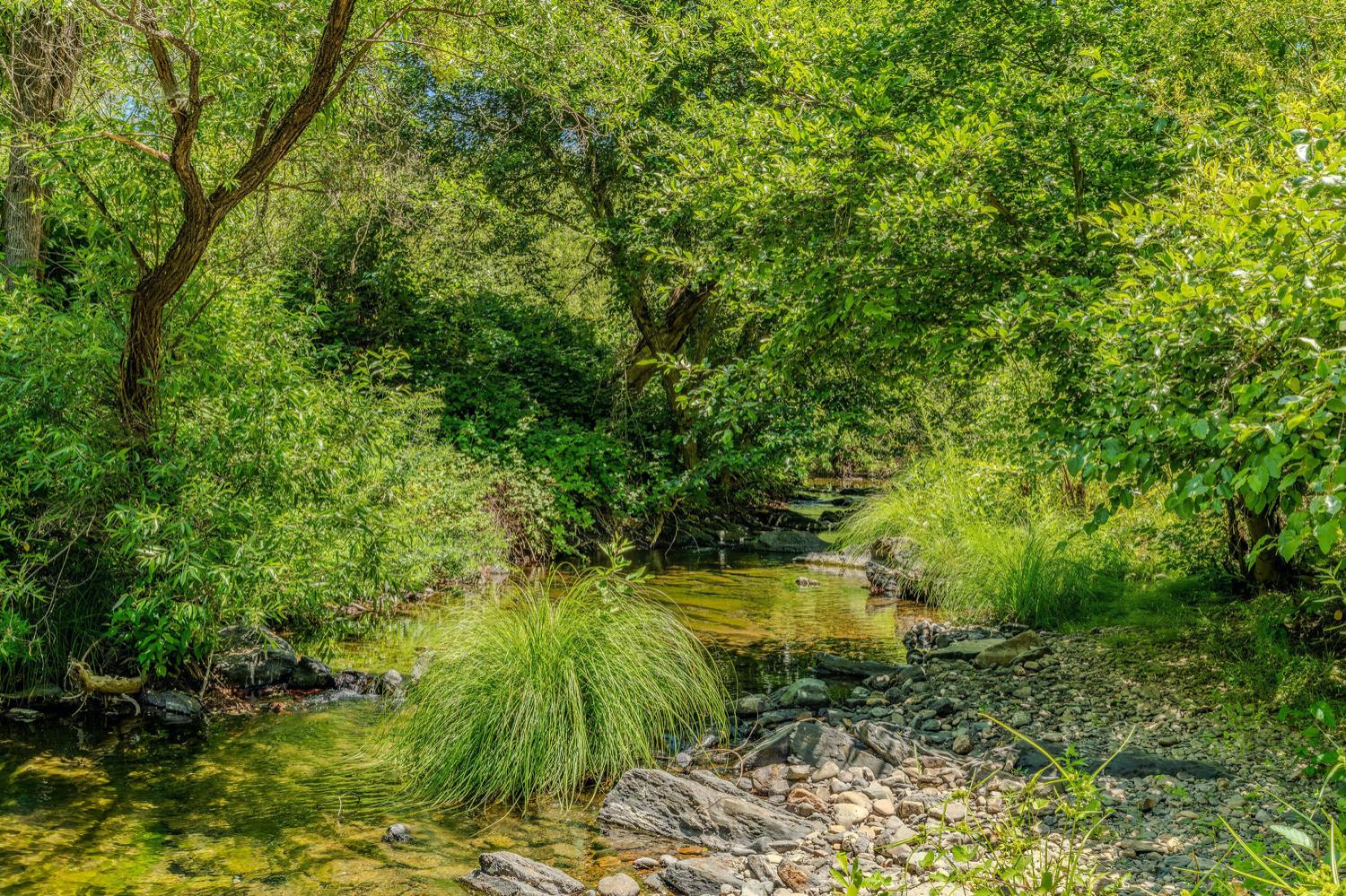 Detail Gallery Image 57 of 80 For 16000 Sutter Creek Rd, Sutter Creek,  CA 95685 - 3 Beds | 2 Baths