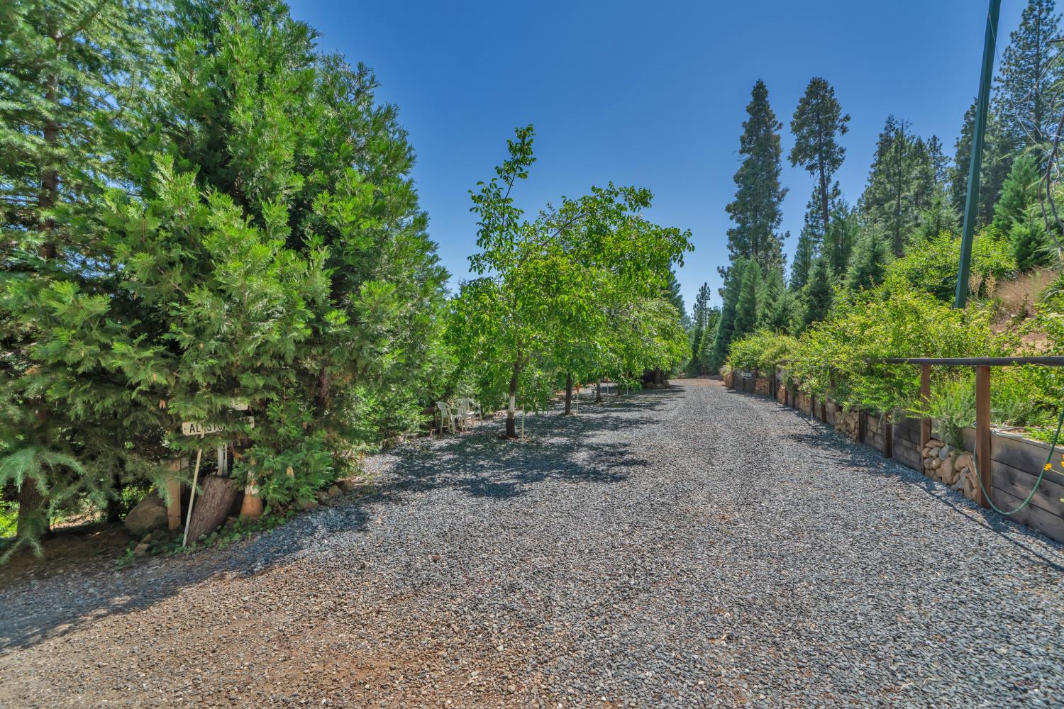 Detail Gallery Image 44 of 93 For 7501 Spring Valley Rd, Pollock Pines,  CA 95726 - 2 Beds | 1 Baths