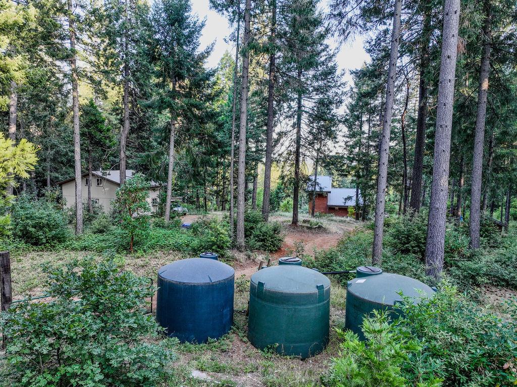 Detail Gallery Image 46 of 76 For 14843 Youngs Hill Rd, Camptonville,  CA 95922 - 2 Beds | 1 Baths