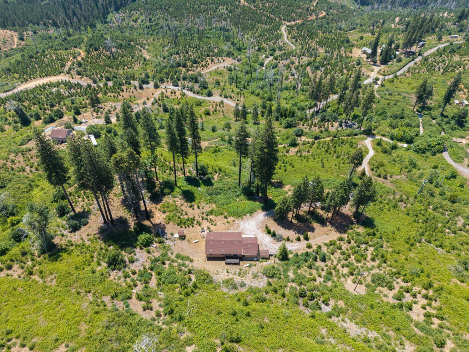 Detail Gallery Image 31 of 37 For 8009 Spring Valley Rd, Pollock Pines,  CA 95726 - 3 Beds | 2 Baths