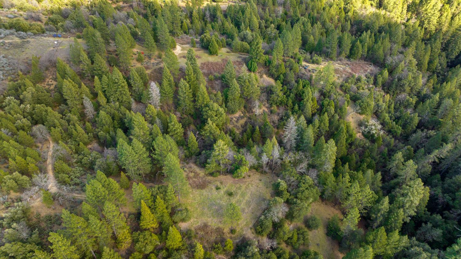 Detail Gallery Image 71 of 87 For 15528 Ca-49, Camptonville,  CA 95922 - 1 Beds | 2 Baths