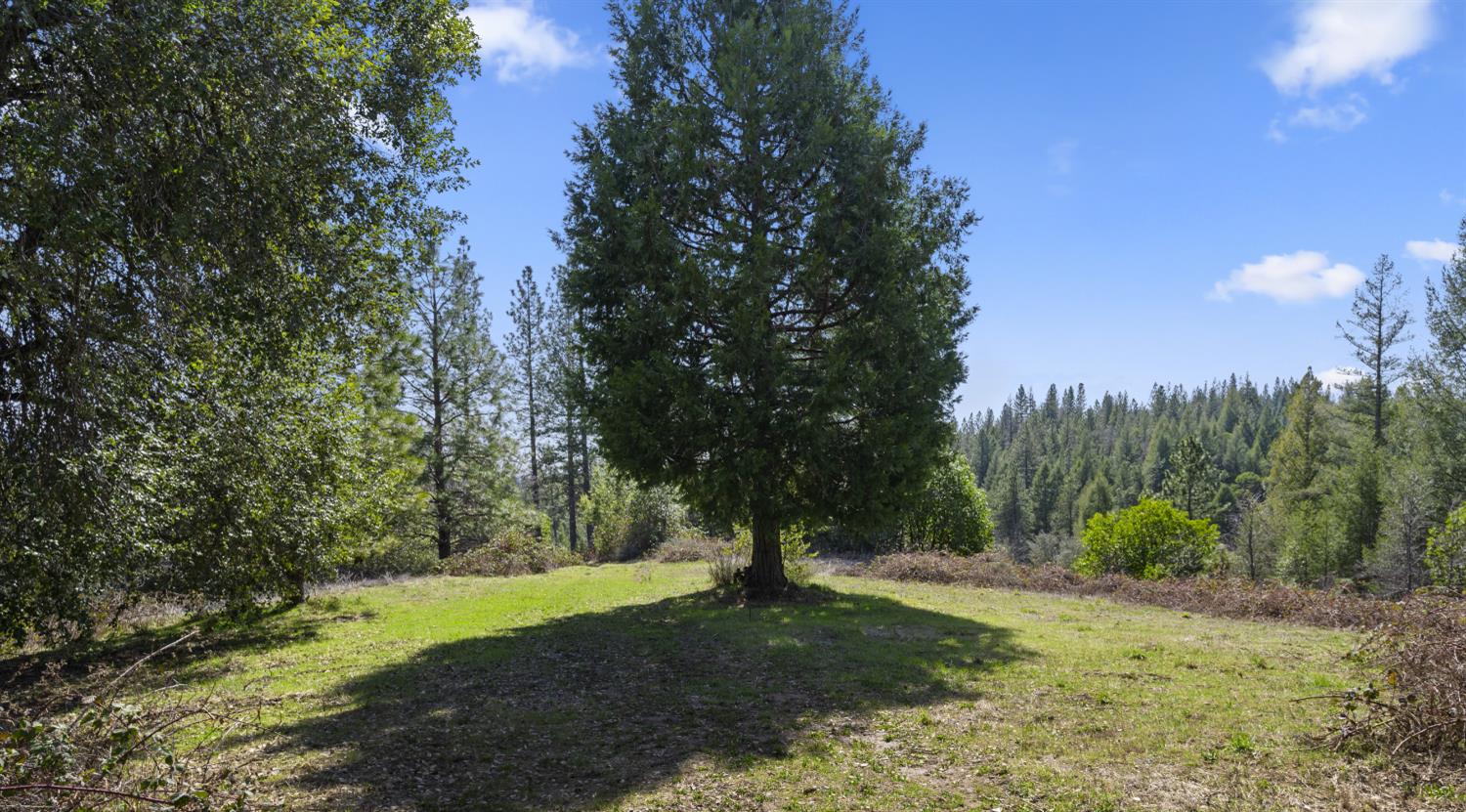 Detail Gallery Image 37 of 87 For 15528 Ca-49, Camptonville,  CA 95922 - 1 Beds | 2 Baths