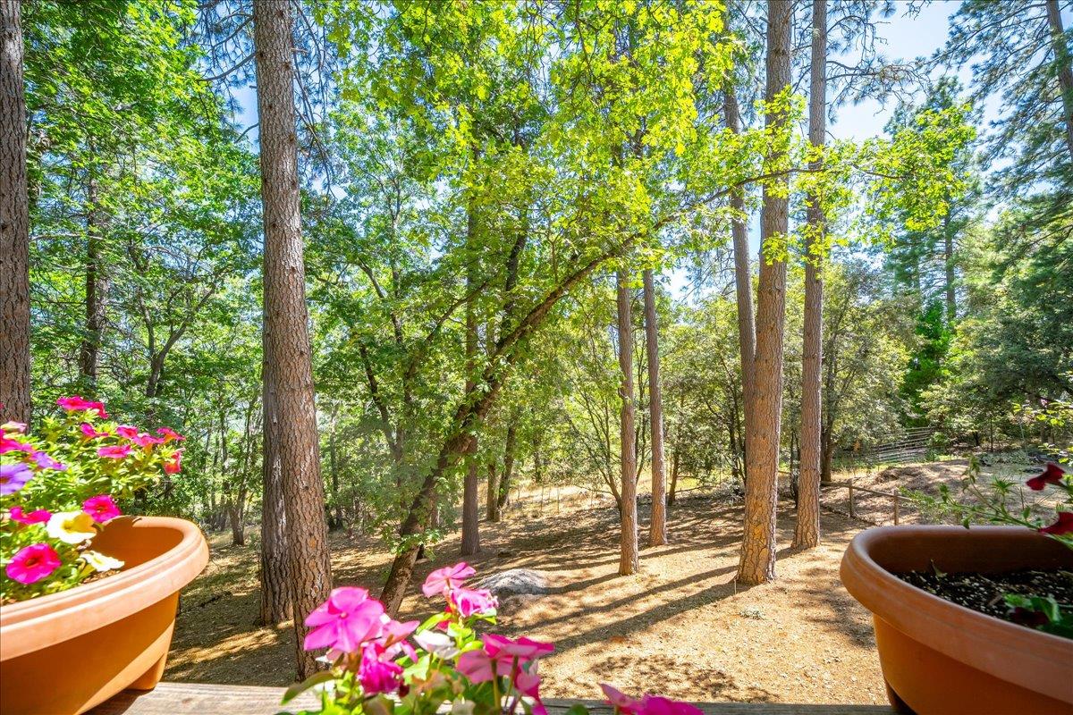 Detail Gallery Image 39 of 65 For 4036 Valley Vista Dr, Camino,  CA 95709 - 4 Beds | 2/1 Baths