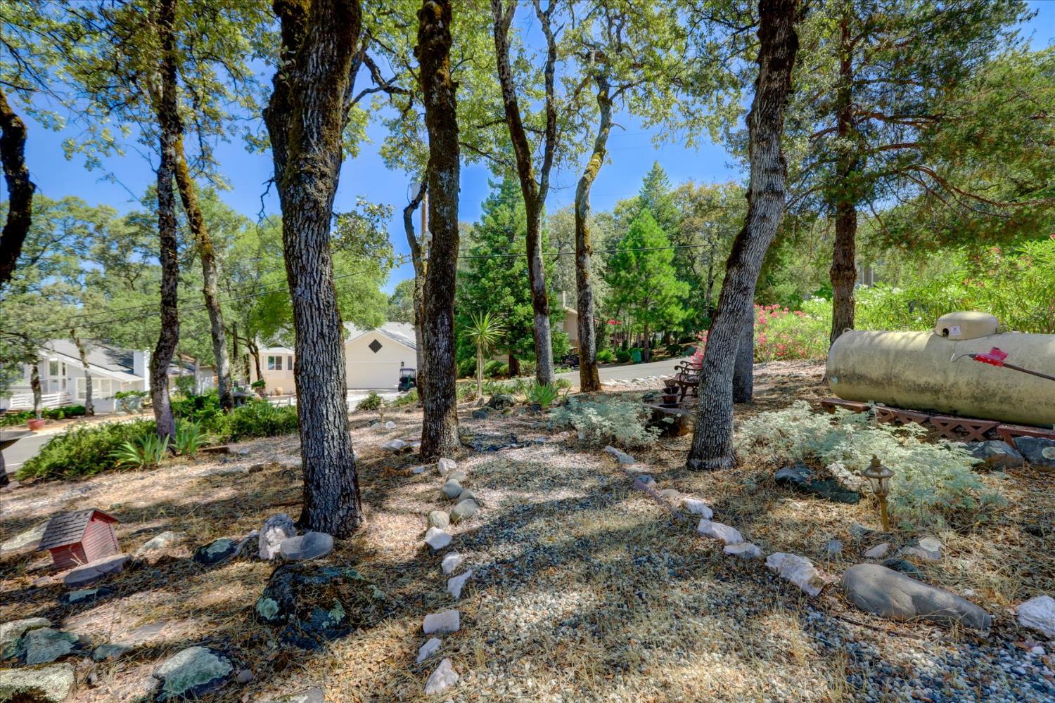 Detail Gallery Image 42 of 67 For 19009 Swallow Way, Penn Valley,  CA 95946 - 3 Beds | 2 Baths
