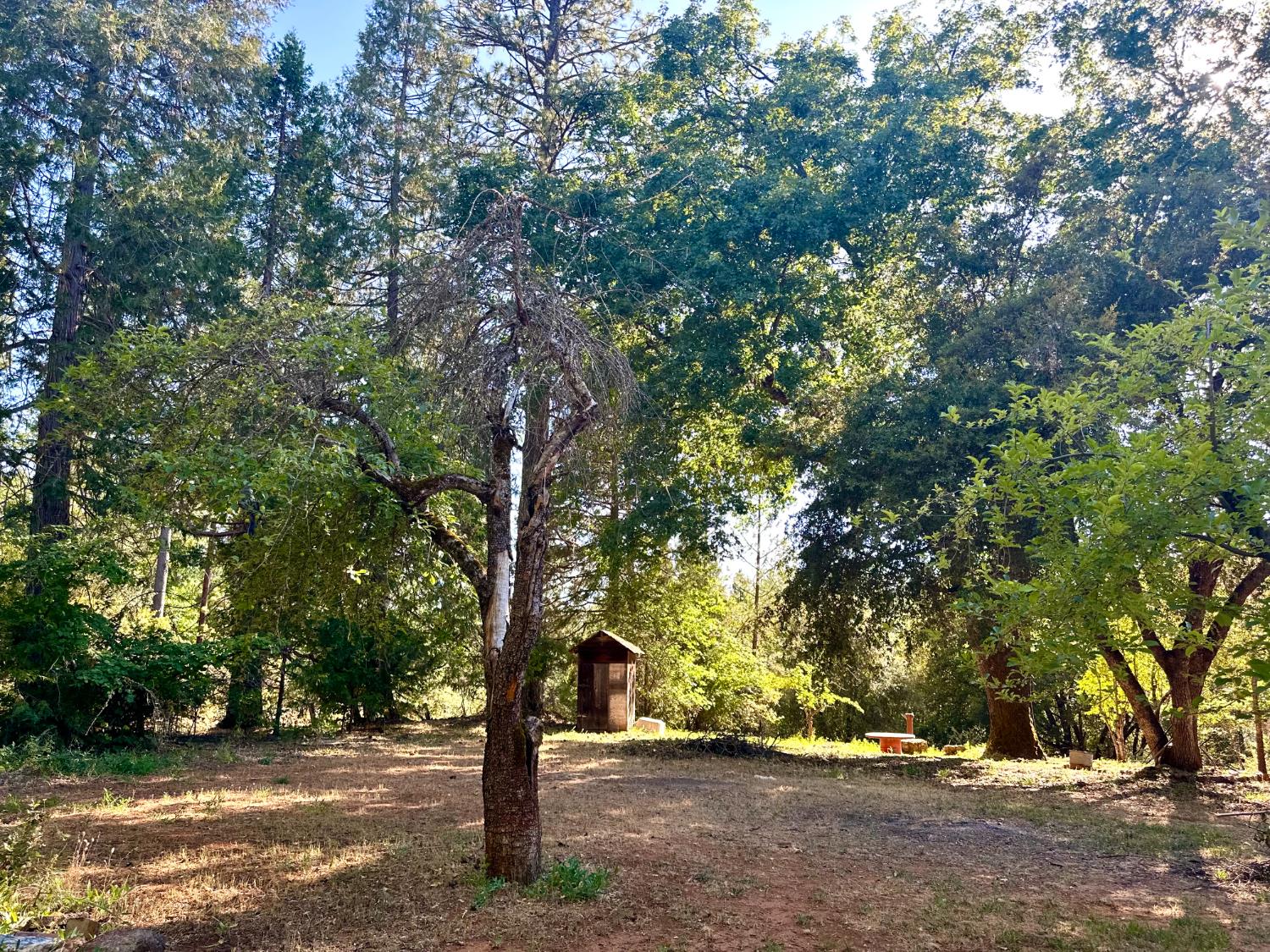 Detail Gallery Image 25 of 48 For 2660 Independence Rd, Glencoe,  CA 95232 - 0 Beds | 0 Baths