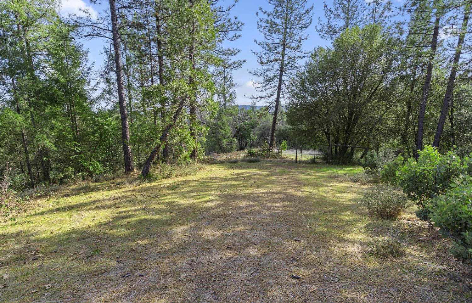 Detail Gallery Image 39 of 87 For 15528 Ca-49, Camptonville,  CA 95922 - 1 Beds | 2 Baths