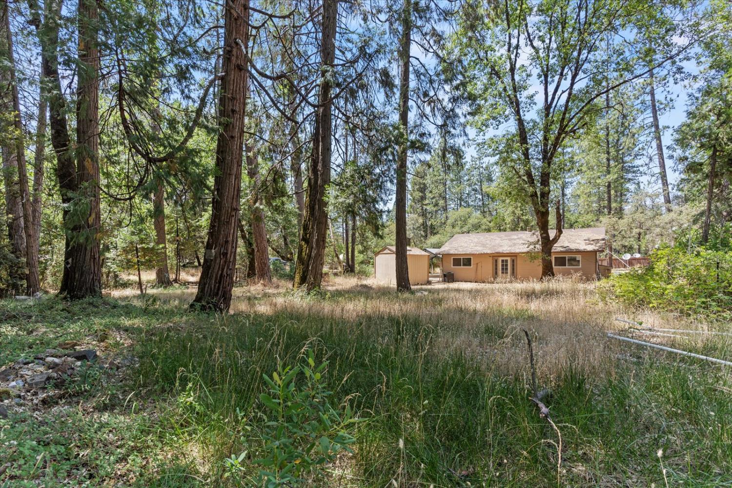 Detail Gallery Image 41 of 59 For 8430 La Porte Rd, Brownsville,  CA 95919 - 3 Beds | 1 Baths