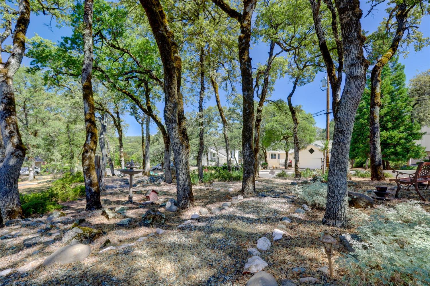 Detail Gallery Image 41 of 67 For 19009 Swallow Way, Penn Valley,  CA 95946 - 3 Beds | 2 Baths