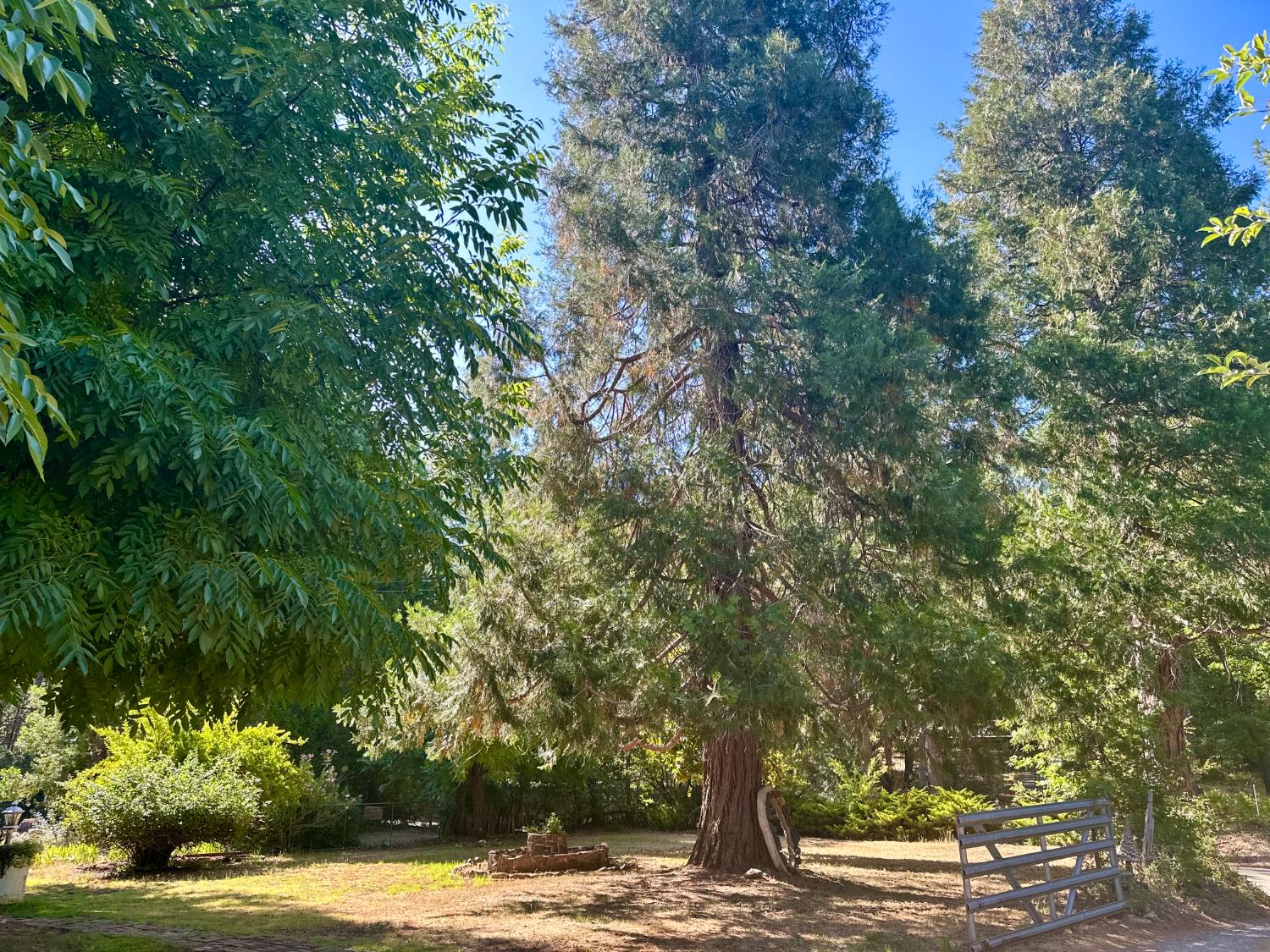 Detail Gallery Image 29 of 48 For 2660 Independence Rd, Glencoe,  CA 95232 - 0 Beds | 0 Baths