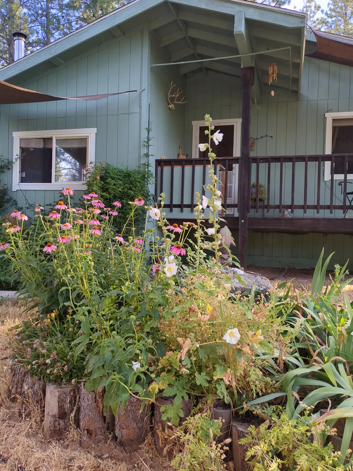 Detail Gallery Image 21 of 87 For 15528 Ca-49, Camptonville,  CA 95922 - 1 Beds | 2 Baths