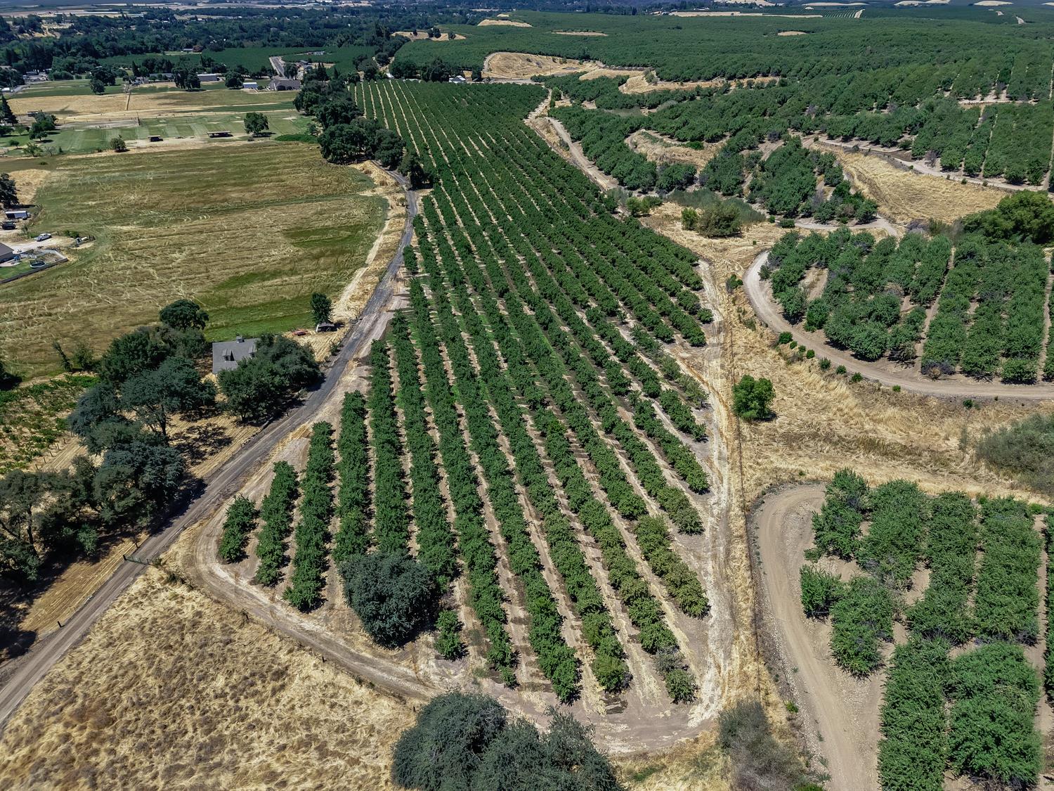 Detail Gallery Image 39 of 49 For 11012 Olive Rd, Oakdale,  CA 95361 - 3 Beds | 2 Baths
