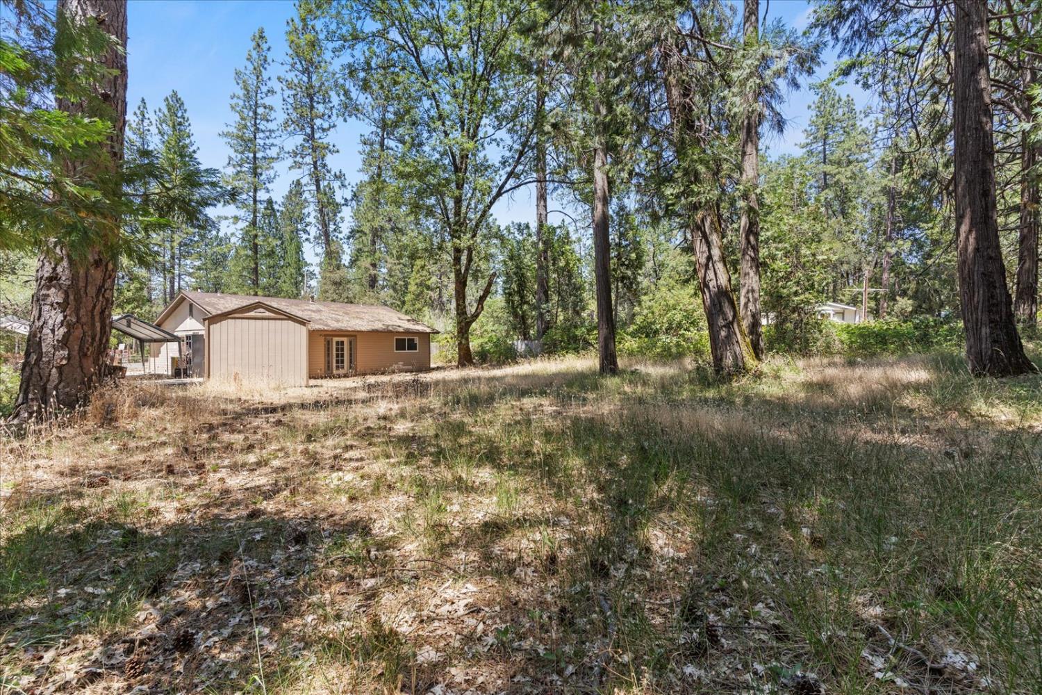 Detail Gallery Image 39 of 59 For 8430 La Porte Rd, Brownsville,  CA 95919 - 3 Beds | 1 Baths