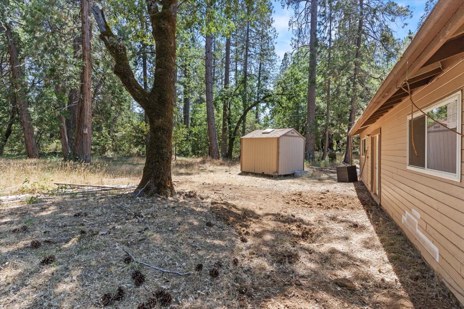 Detail Gallery Image 42 of 59 For 8430 La Porte Rd, Brownsville,  CA 95919 - 3 Beds | 1 Baths