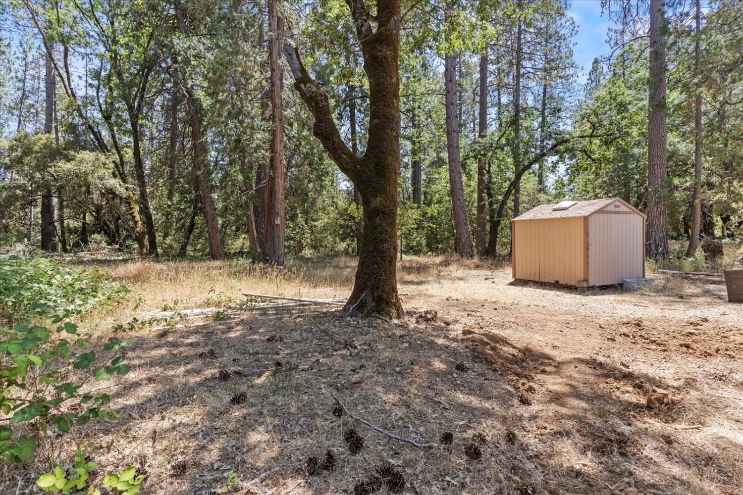 Detail Gallery Image 44 of 59 For 8430 La Porte Rd, Brownsville,  CA 95919 - 3 Beds | 1 Baths