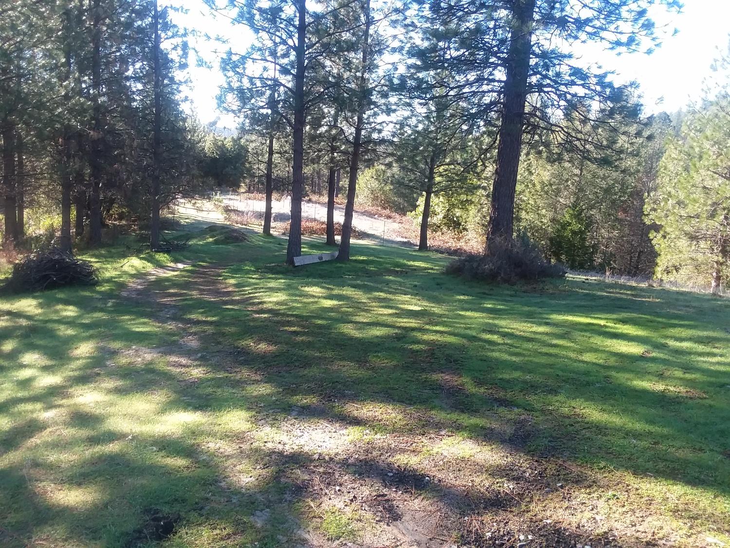 Detail Gallery Image 45 of 87 For 15528 Ca-49, Camptonville,  CA 95922 - 1 Beds | 2 Baths