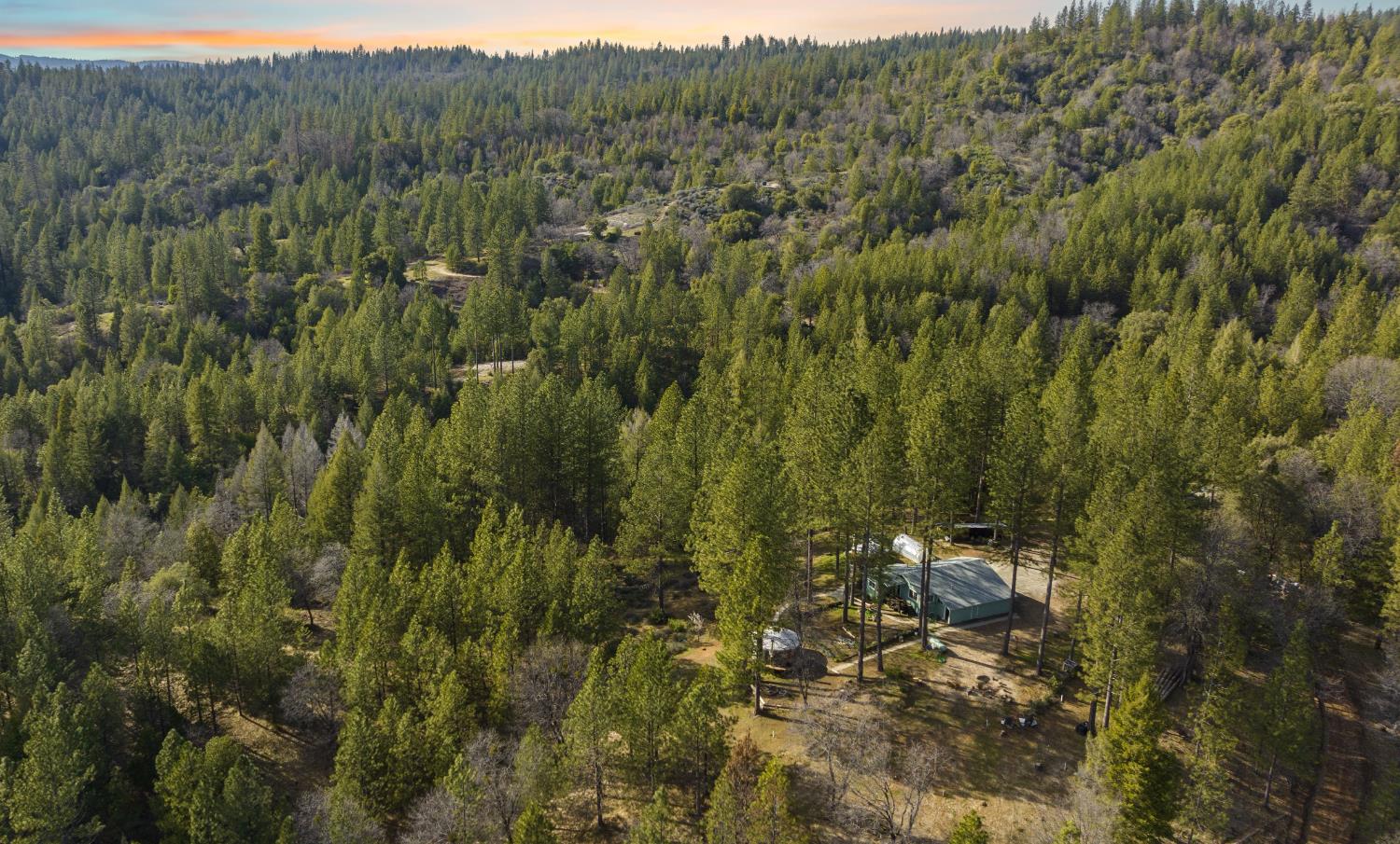 Detail Gallery Image 40 of 87 For 15528 Ca-49, Camptonville,  CA 95922 - 1 Beds | 2 Baths