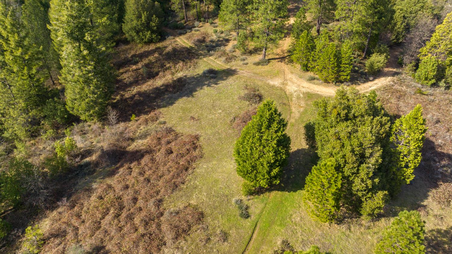 Detail Gallery Image 43 of 87 For 15528 Ca-49, Camptonville,  CA 95922 - 1 Beds | 2 Baths