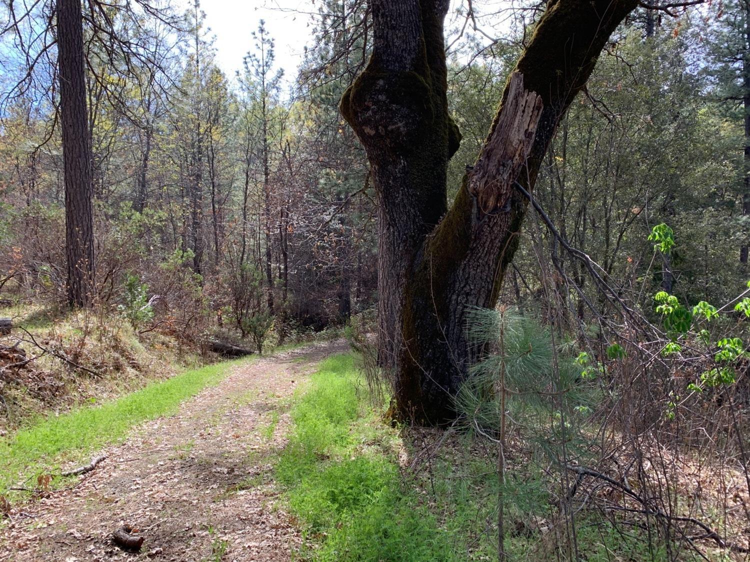 Detail Gallery Image 2 of 3 For 0 Old Schoolhouse Rd, Somerset,  CA 95684 - – Beds | – Baths