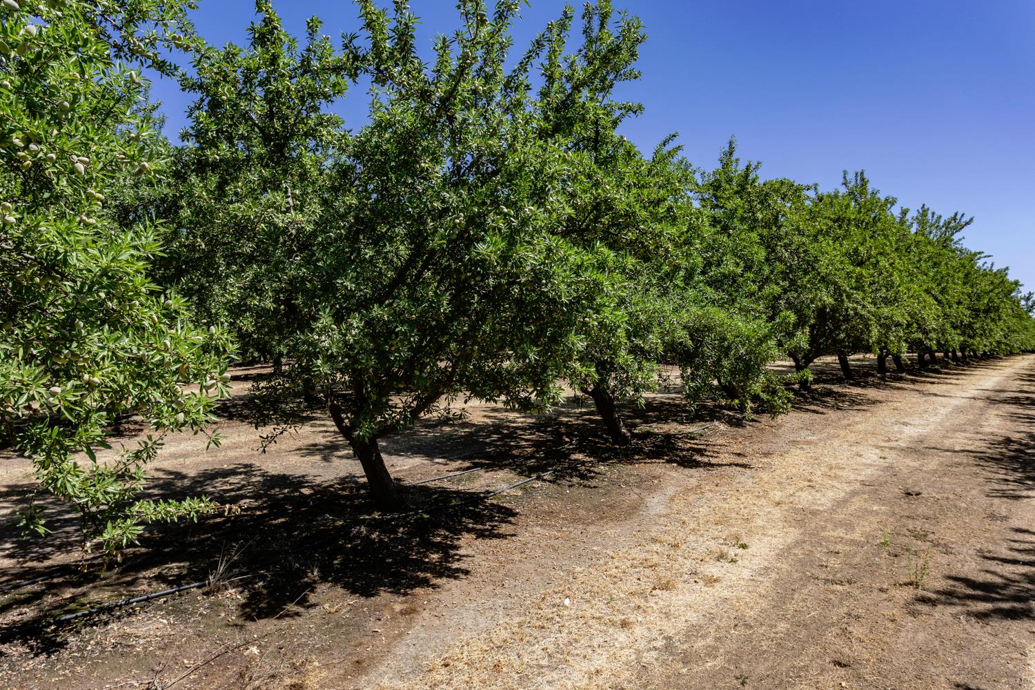Detail Gallery Image 31 of 49 For 11012 Olive Rd, Oakdale,  CA 95361 - 3 Beds | 2 Baths