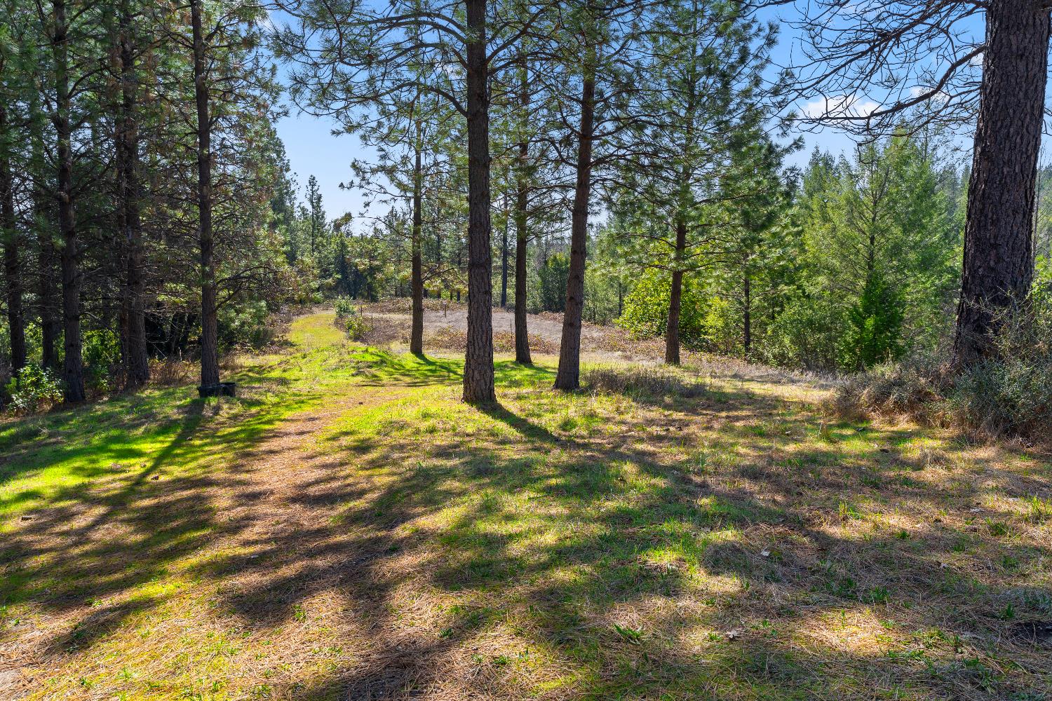 Detail Gallery Image 44 of 87 For 15528 Ca-49, Camptonville,  CA 95922 - 1 Beds | 2 Baths