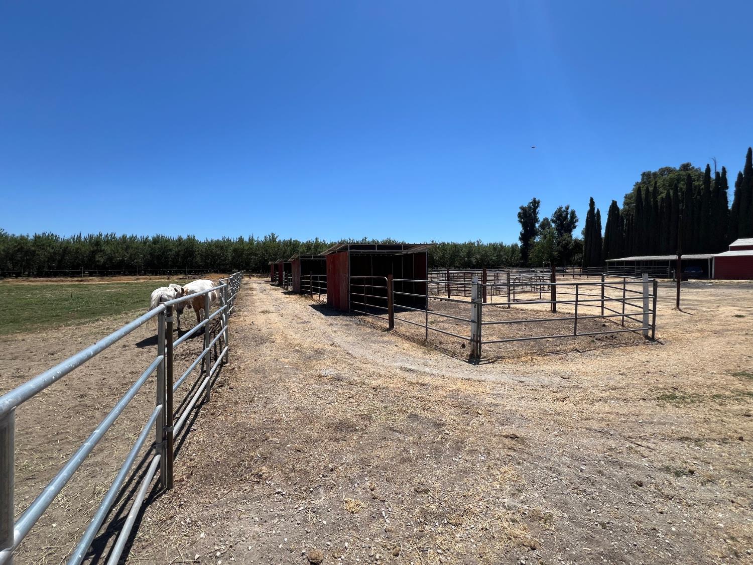 Detail Gallery Image 34 of 71 For 19064 S Harrold Ave, Escalon,  CA 95320 - 3 Beds | 2 Baths