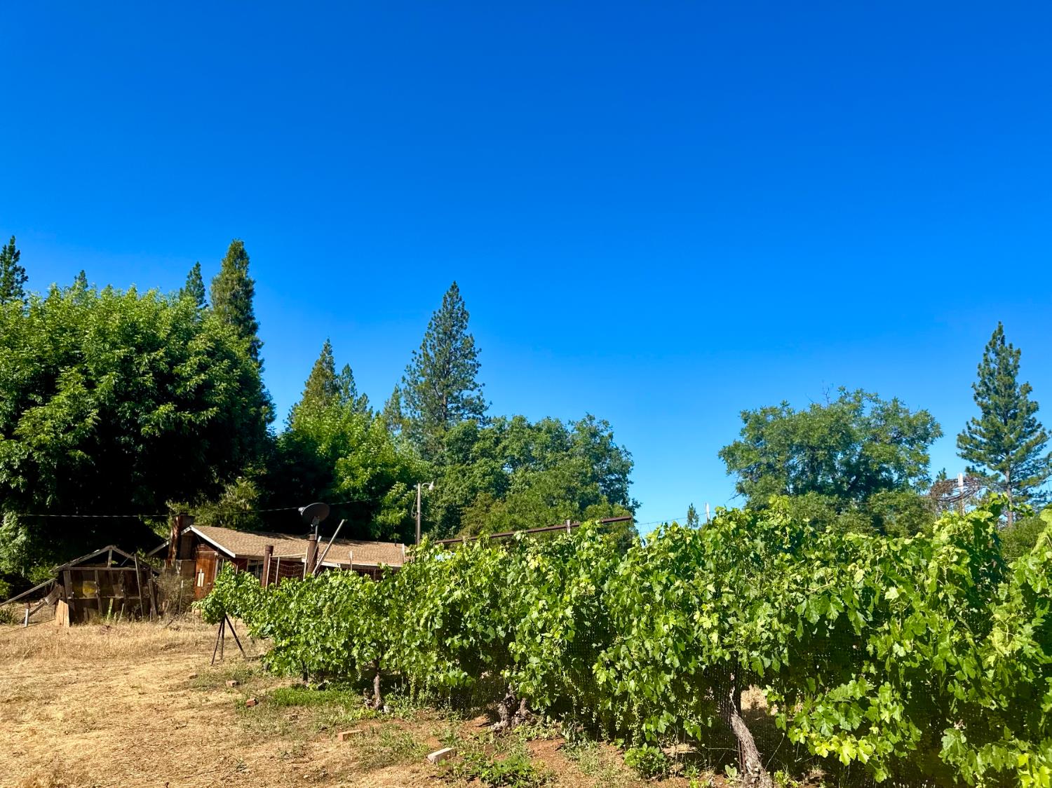 Detail Gallery Image 35 of 48 For 2660 Independence Rd, Glencoe,  CA 95232 - 0 Beds | 0 Baths