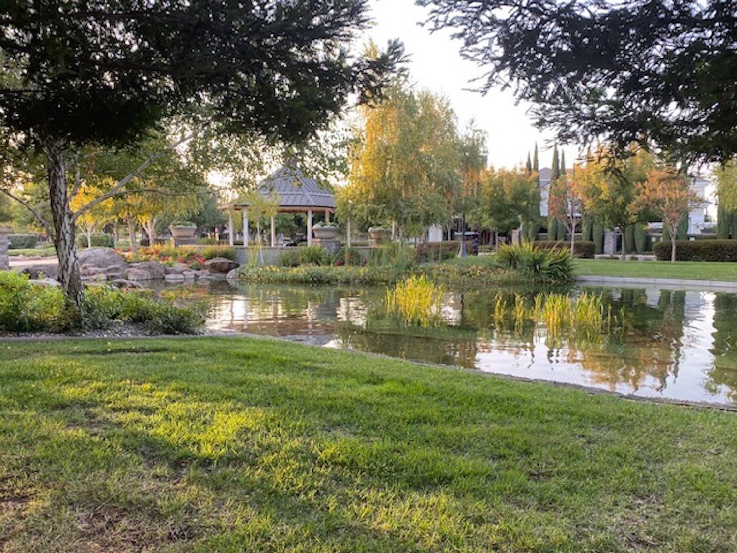 Detail Gallery Image 51 of 55 For 1264 Elm Ridge St, Manteca,  CA 95336 - 3 Beds | 2/1 Baths
