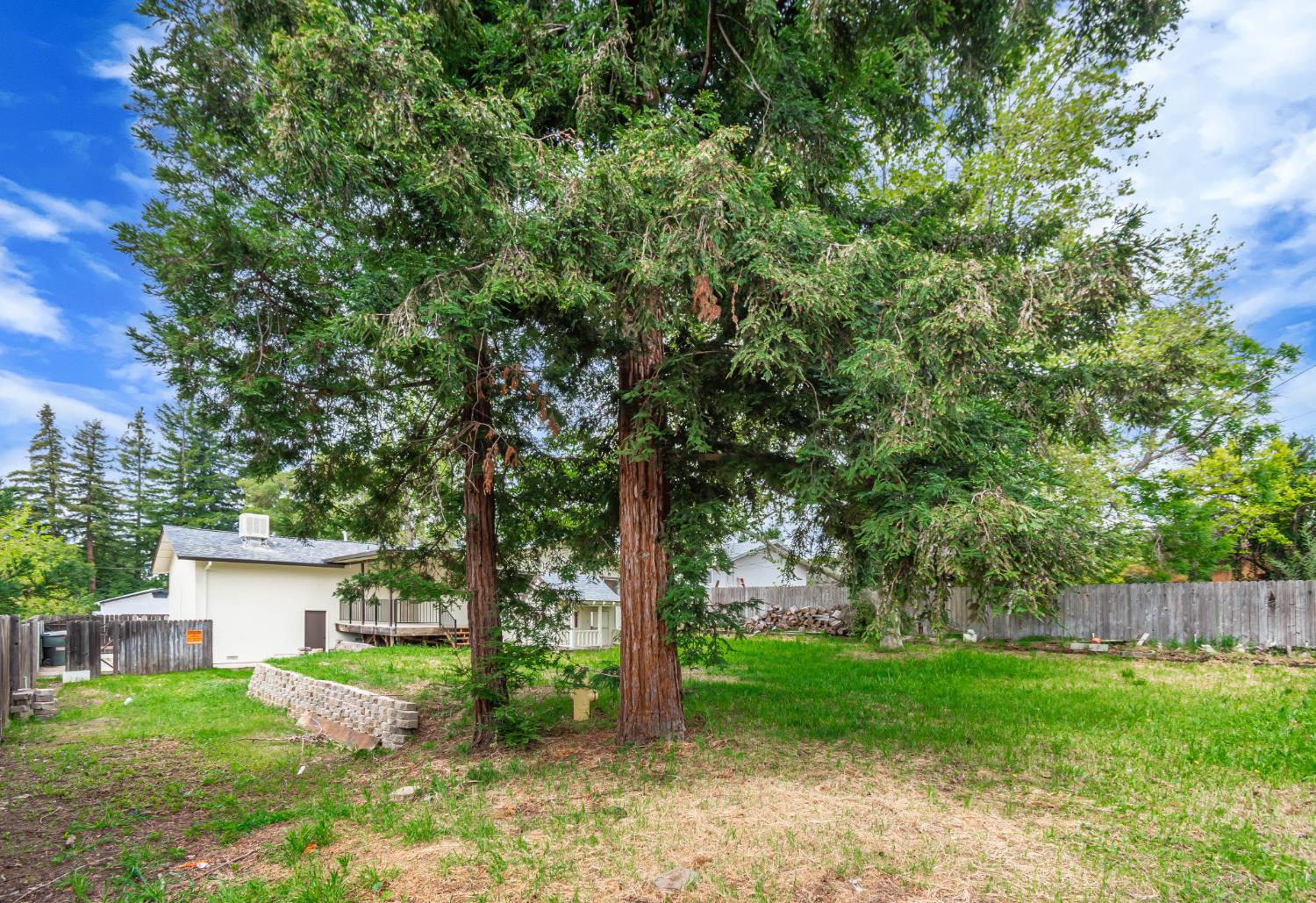 Detail Gallery Image 58 of 62 For 4924 Buena Vista Ave, Fair Oaks,  CA 95628 - 3 Beds | 2 Baths