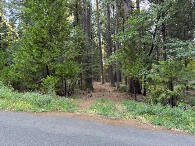 Detail Gallery Image 14 of 15 For 6235 Terrace Dr, Pollock Pines,  CA 95726 - – Beds | – Baths