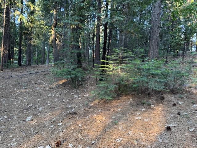 Detail Gallery Image 6 of 15 For 6235 Terrace Dr, Pollock Pines,  CA 95726 - – Beds | – Baths