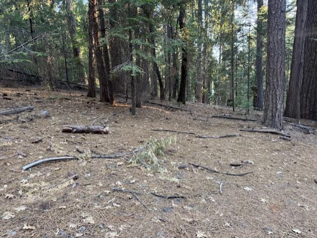 Detail Gallery Image 12 of 15 For 6235 Terrace Dr, Pollock Pines,  CA 95726 - – Beds | – Baths