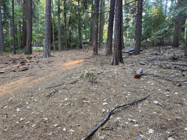 Detail Gallery Image 5 of 15 For 6235 Terrace Dr, Pollock Pines,  CA 95726 - – Beds | – Baths
