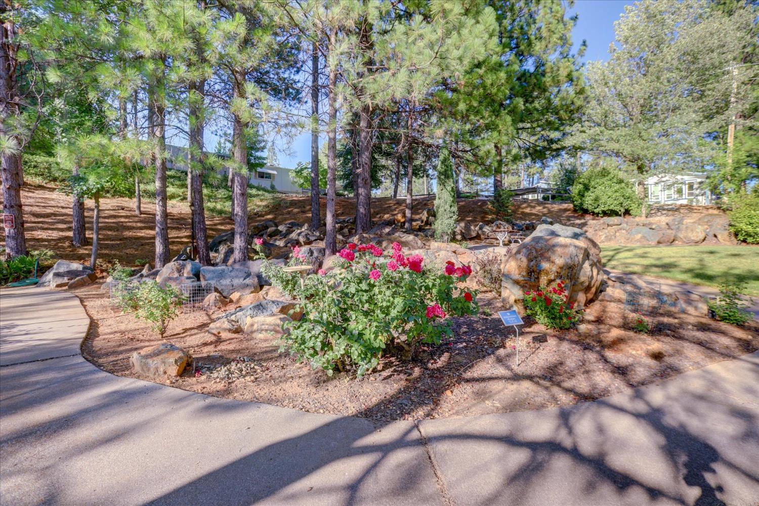 Detail Gallery Image 57 of 68 For 10046 Dalewood Way, Grass Valley,  CA 95949 - 2 Beds | 2 Baths