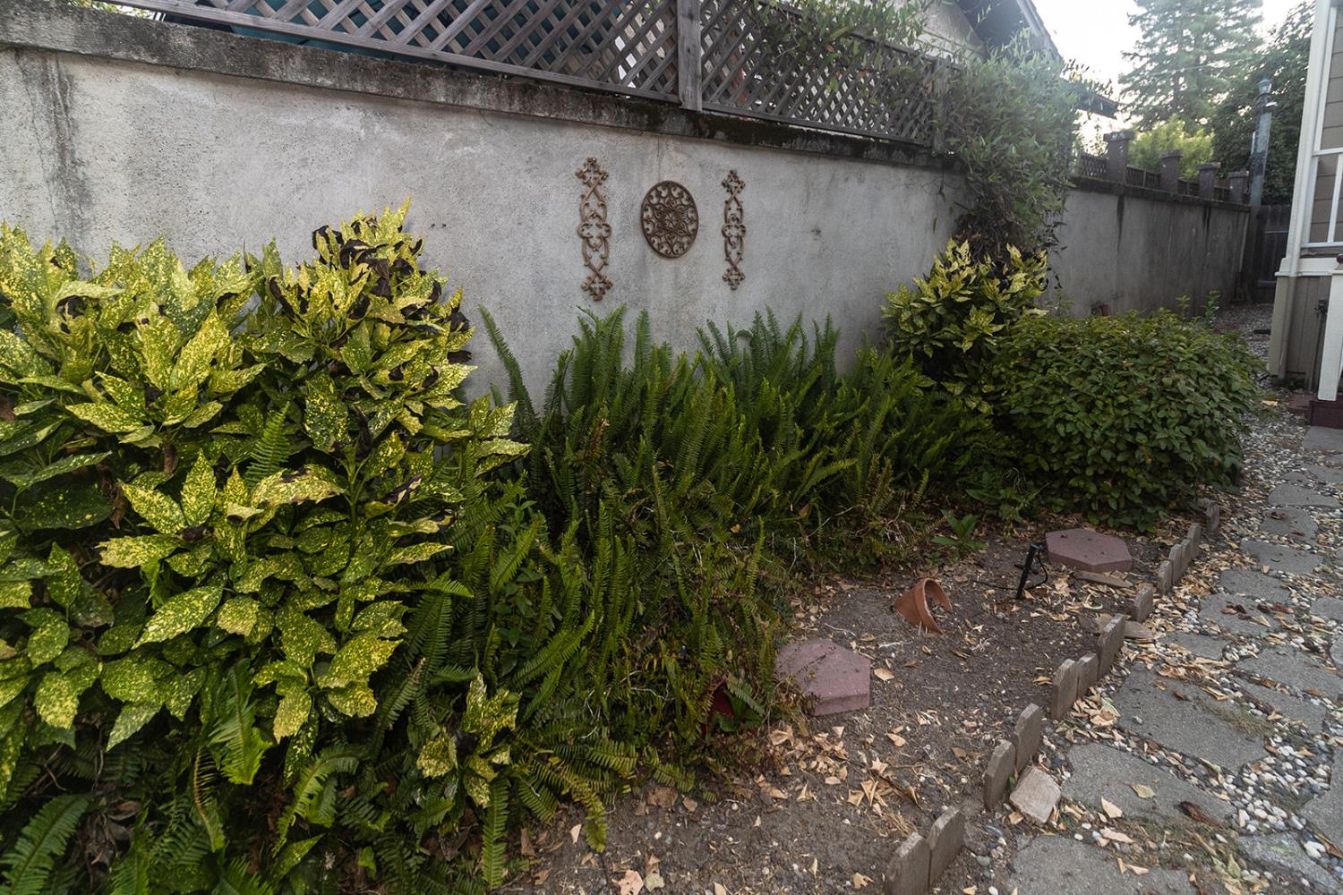 Detail Gallery Image 52 of 59 For 603 1st St, Woodland,  CA 95695 - 3 Beds | 2 Baths