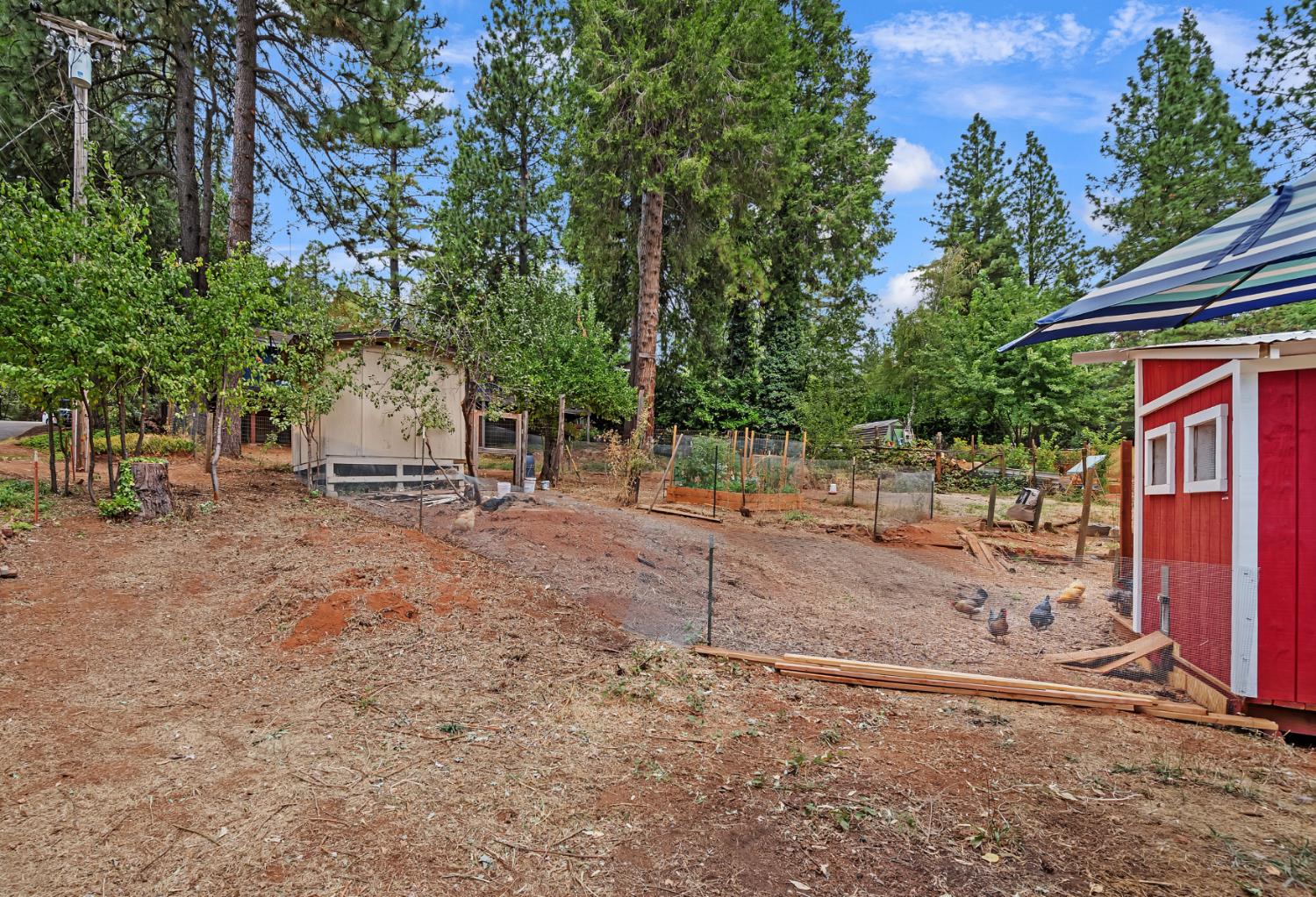 Detail Gallery Image 32 of 45 For 12191 Loma Rica Dr, Grass Valley,  CA 95945 - 3 Beds | 2 Baths