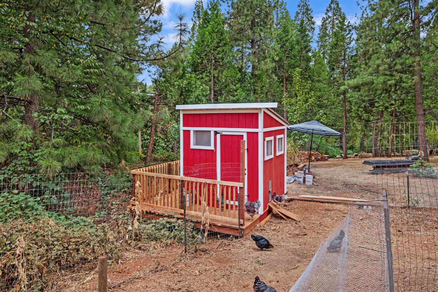 Detail Gallery Image 6 of 45 For 12191 Loma Rica Dr, Grass Valley,  CA 95945 - 3 Beds | 2 Baths