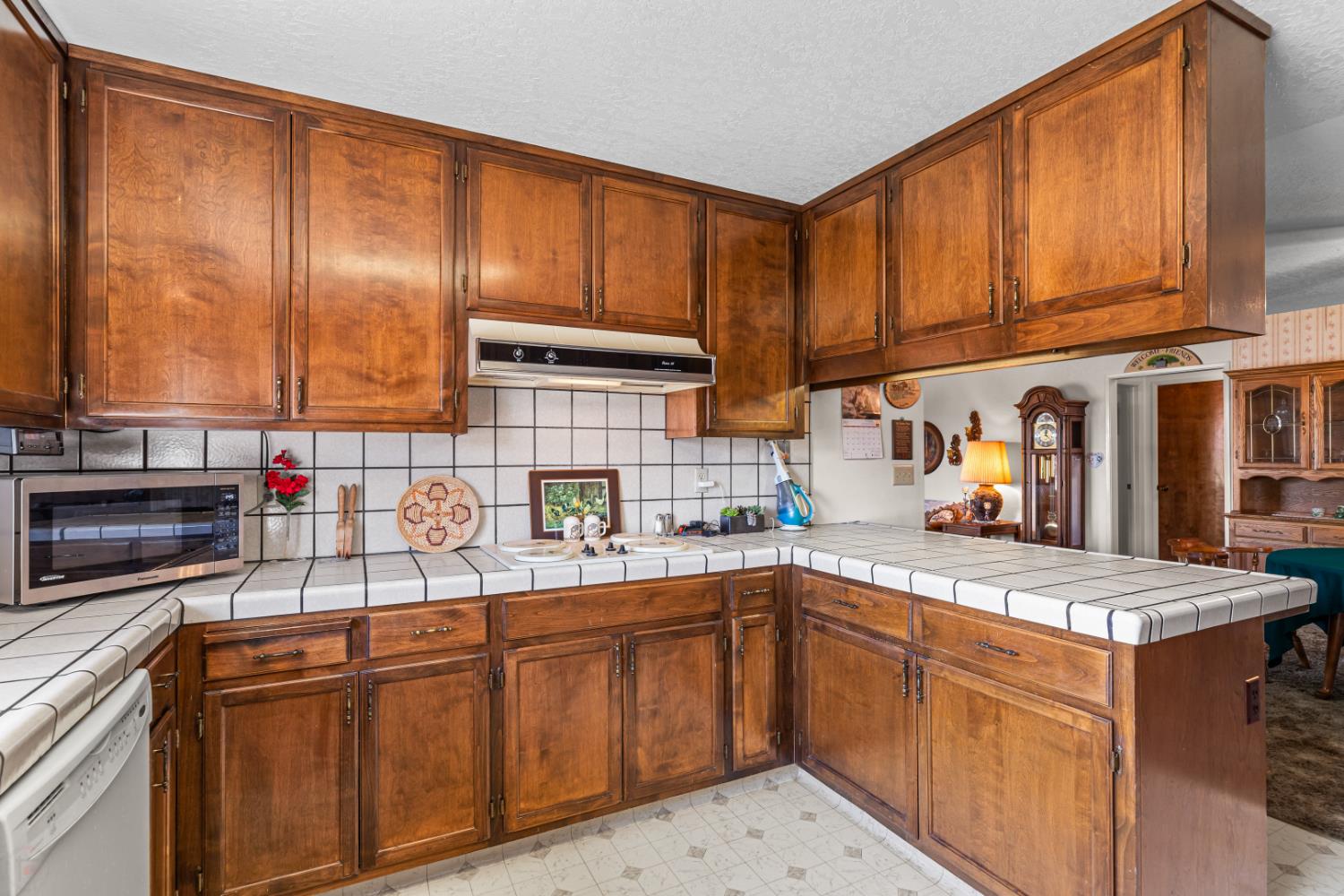 Detail Gallery Image 17 of 46 For 1009 Zinfandel Pl, Modesto,  CA 95351 - 3 Beds | 2 Baths