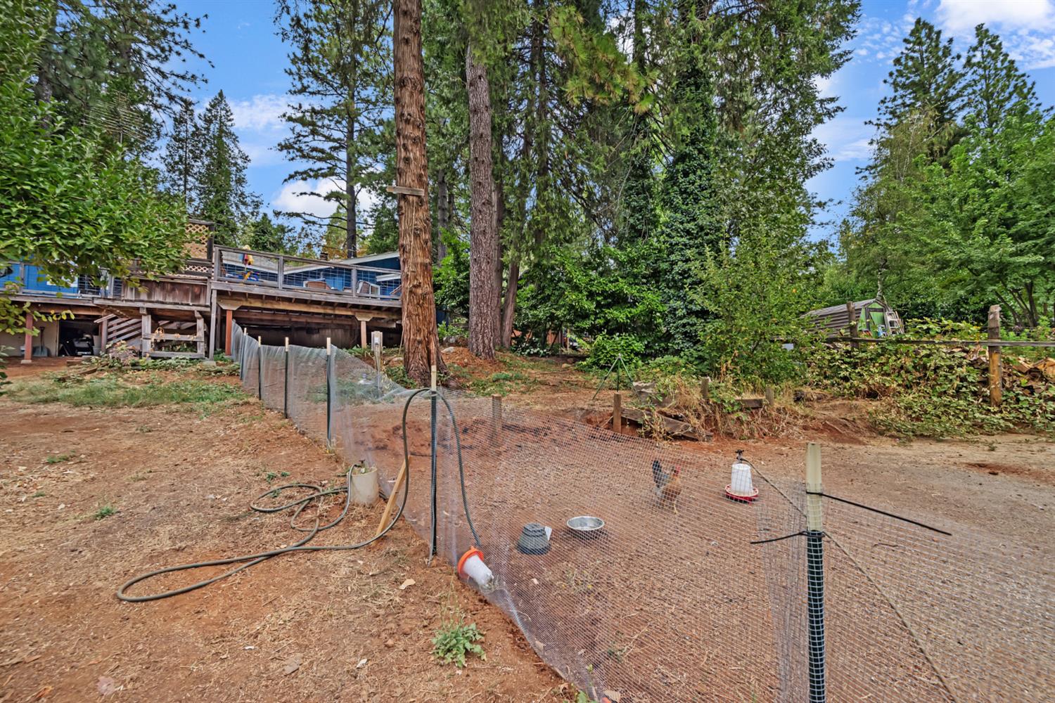 Detail Gallery Image 43 of 45 For 12191 Loma Rica Dr, Grass Valley,  CA 95945 - 3 Beds | 2 Baths