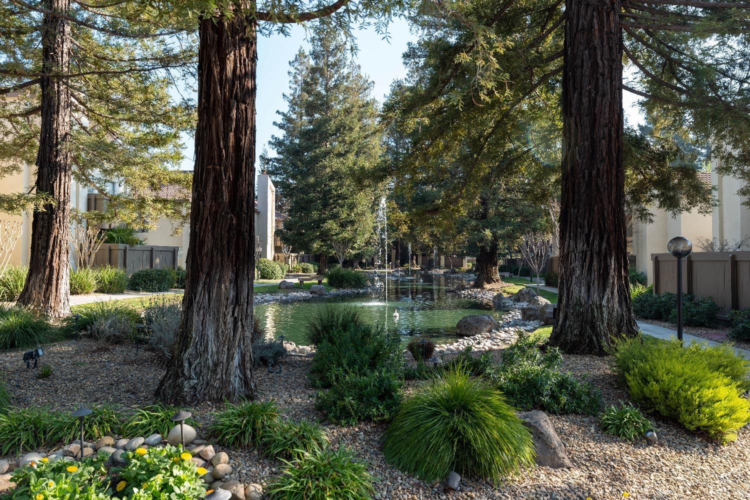Detail Gallery Image 10 of 10 For 3701 Colonial Dr #34,  Modesto,  CA 95350 - 1 Beds | 1 Baths