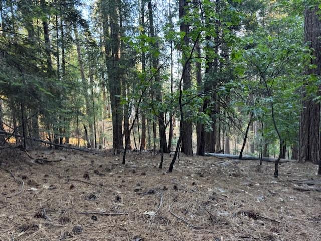Detail Gallery Image 7 of 15 For 6235 Terrace Dr, Pollock Pines,  CA 95726 - – Beds | – Baths
