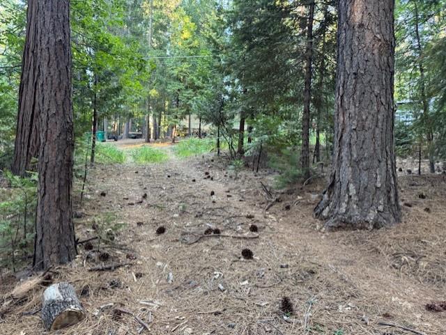 Detail Gallery Image 2 of 15 For 6235 Terrace Dr, Pollock Pines,  CA 95726 - – Beds | – Baths